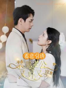 蓄意引诱禁欲老公又野又撩（婚约老公他明宠暗撩）海报